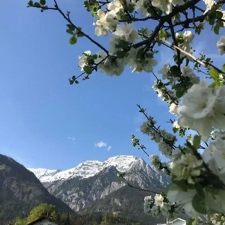 Schusterbrand * Absam