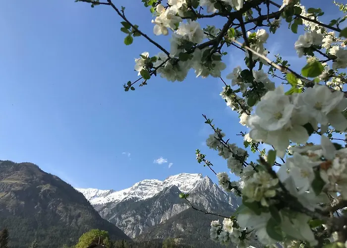 Schusterbrand * Absam