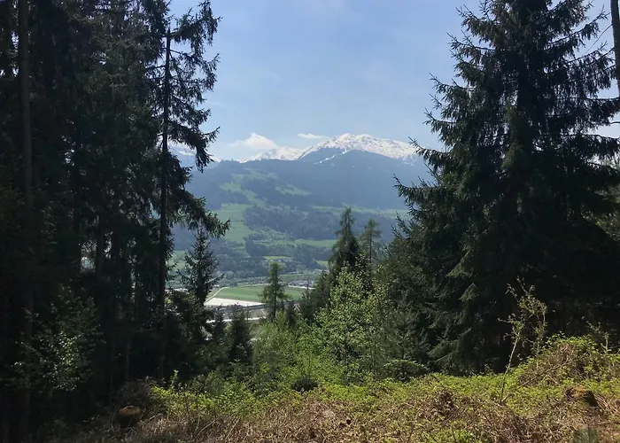 Schusterbrand * Абзам