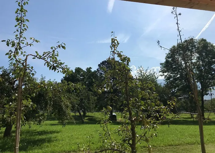 Апартаменты Schusterbrand Абзам